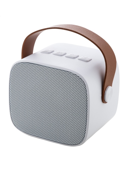 AP™ Speaker, Rabs
