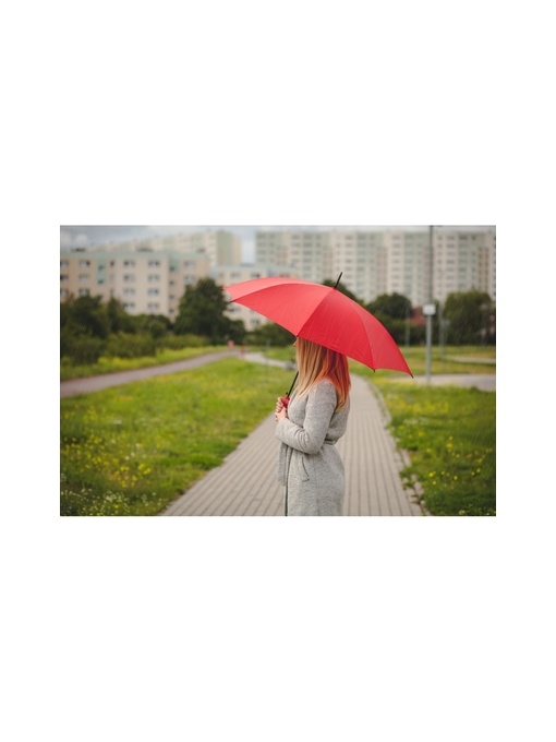 AX™ Automatic umbrella | Dwight