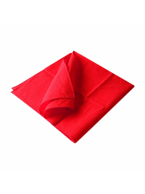 ON™ 100% cotton scarf/bandana