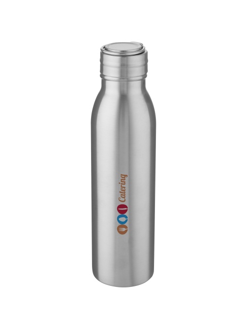 PF™ Harper 700 ml stainless steel water bottle with metal loop - Img 1