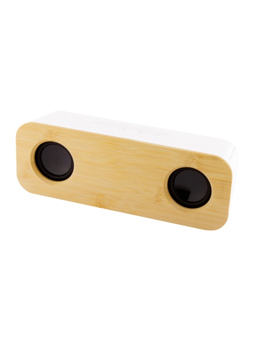 AP™ AP56 Portable Speaker