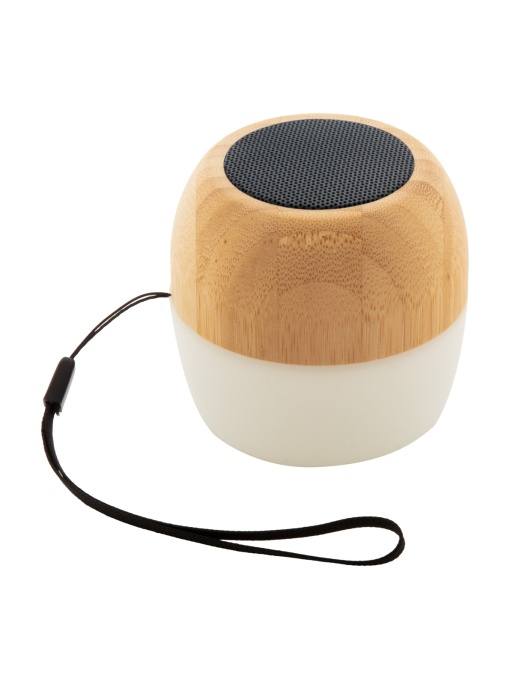 AP™ AP644 Bluetooth speaker