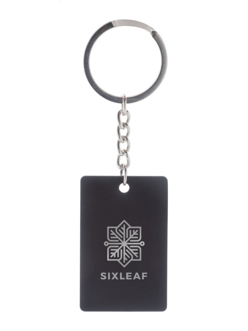 AP™ Keychain