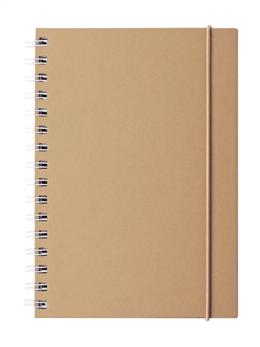 AP™ Notebook