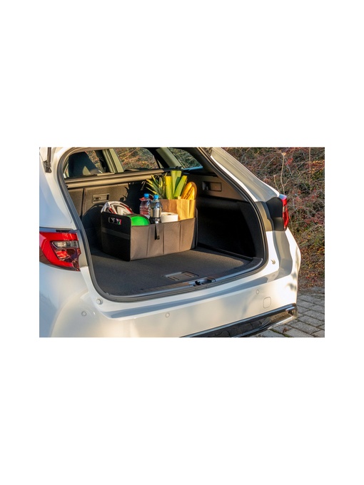 AX™ organizator auto pliabil | Reign