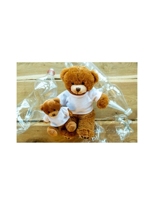 AX™ RPET plush teddy bear | Denis R