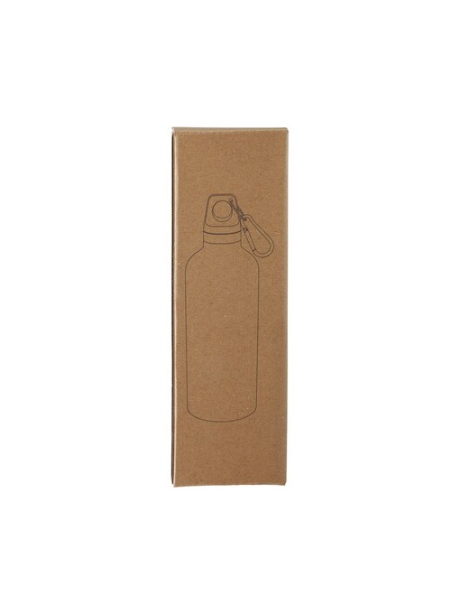 AX™ Sticlă termo 500 ml