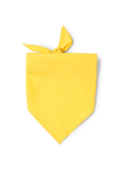 STA™ Jarana - Scarf - Img 1