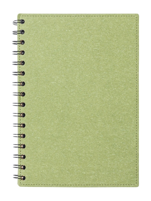 AP™ Notebook
