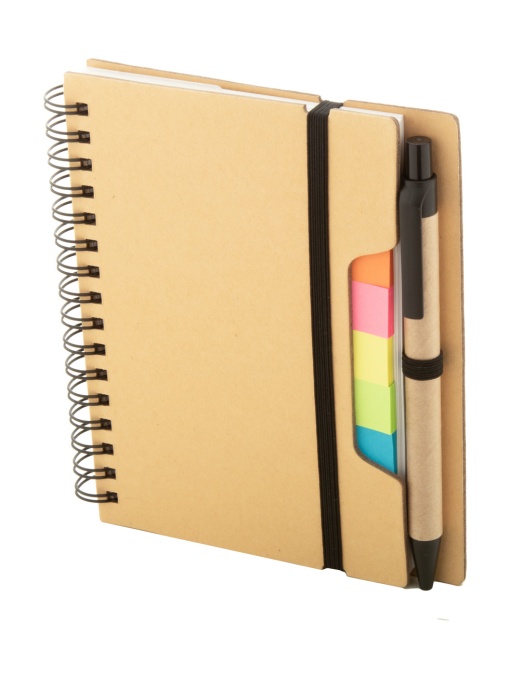 AP™ Notebook