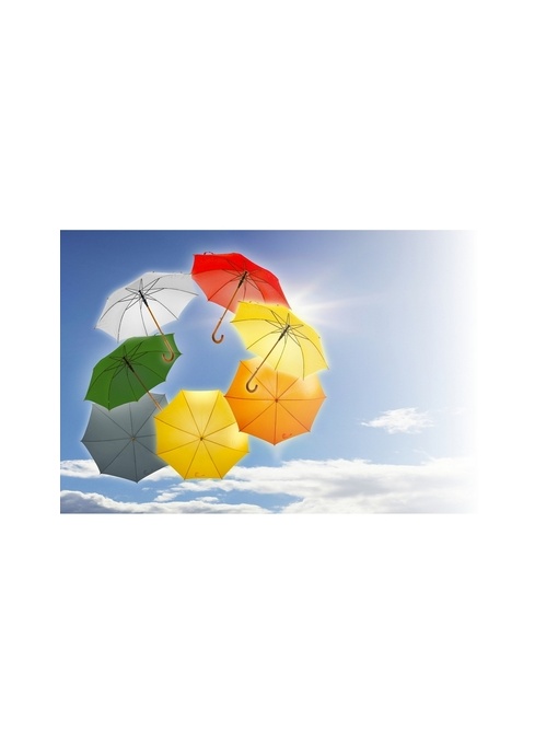 AX™ Automatic umbrella | Hayden