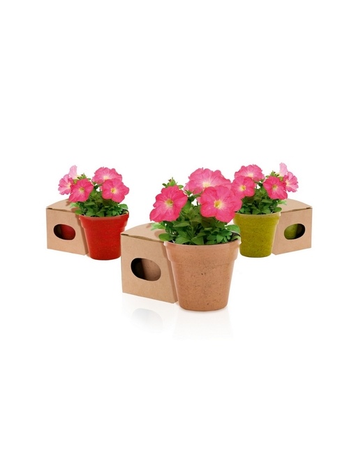 AX™ Flower pot, 5-8 petunia seeds and soil