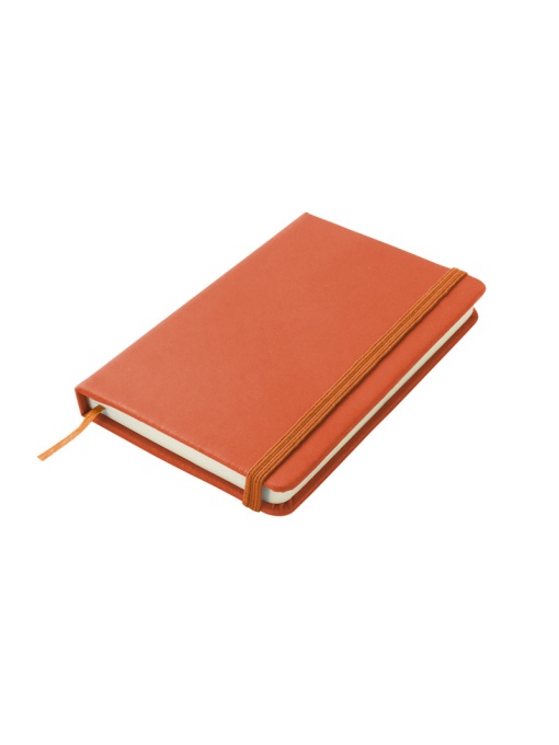 BLUE C™ Notebook VITAL A6