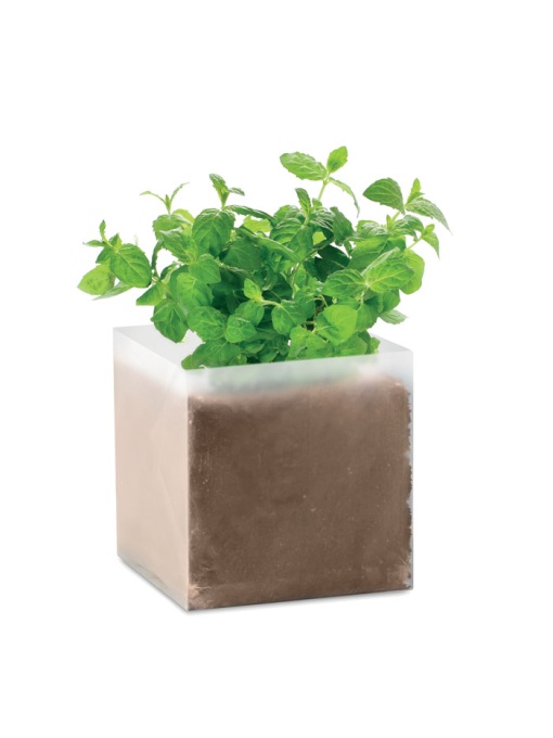 MO™ Mint – Compost cu semințe "MINT"
