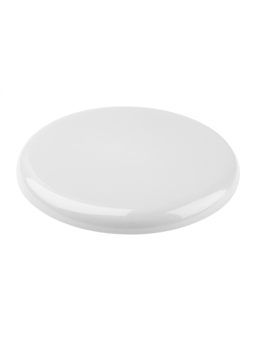 AP™ Frisbee