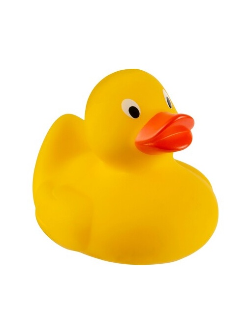 AX™ Rubber duck for bath