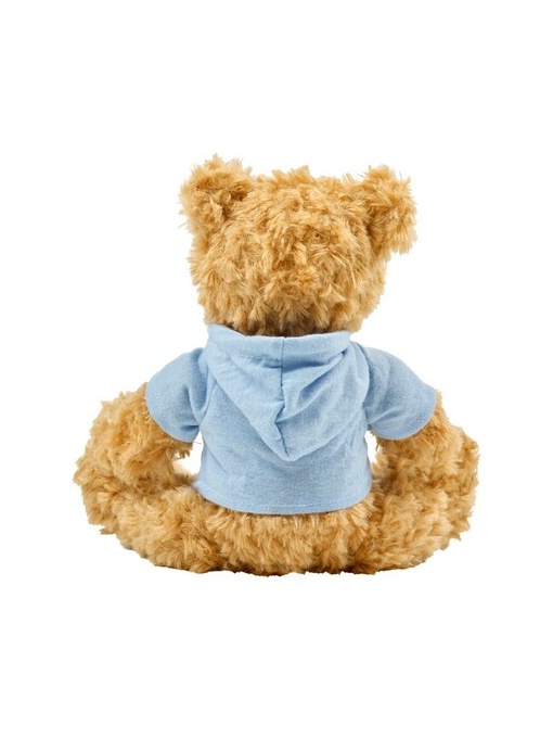 AX™ Teddy bear with hoodie
