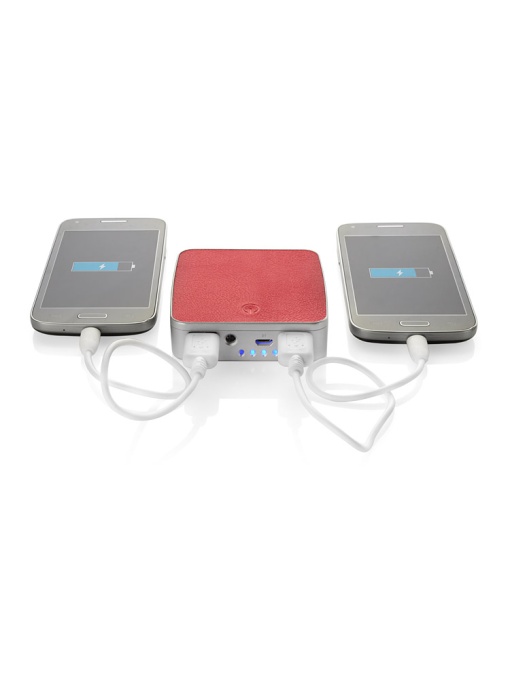 BLUE C™ Powerbank HIDE 7800 mAh
