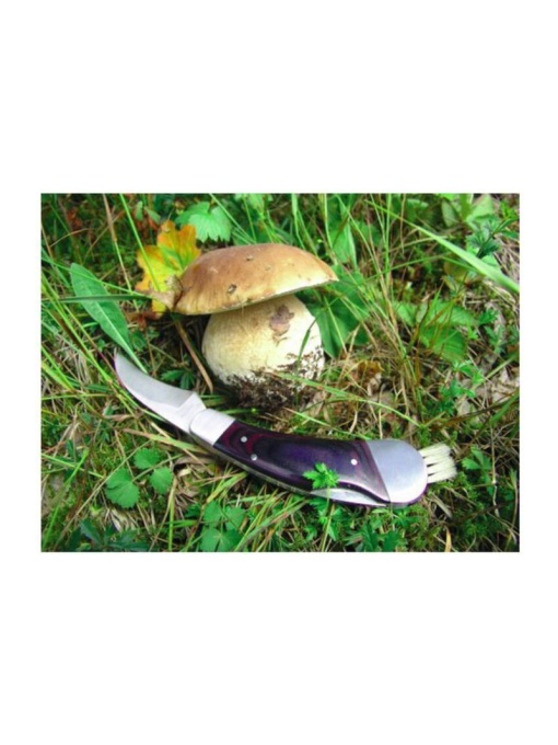 CM™ PILZ cuţit ciuperci