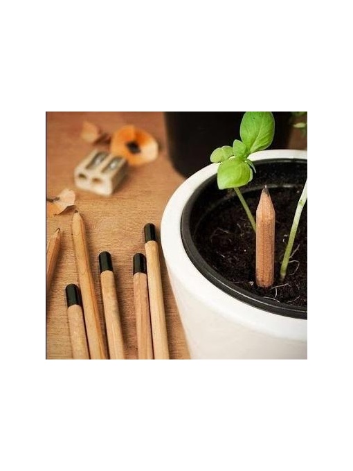 Gathered™ Creion reciclabil cu seminte