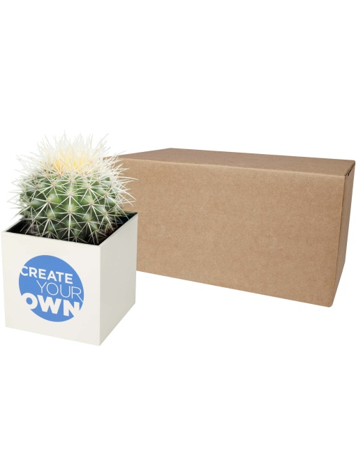 PF™ Hey Pots ghiveci din aluminiu plantat - cactus