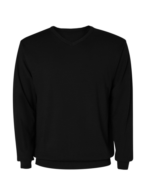RO™ HILUX | Fine-knit V-neck jumper (men) | 50 % viscose / 28 % polyester / 22 % polyamide, fine knit gg 12