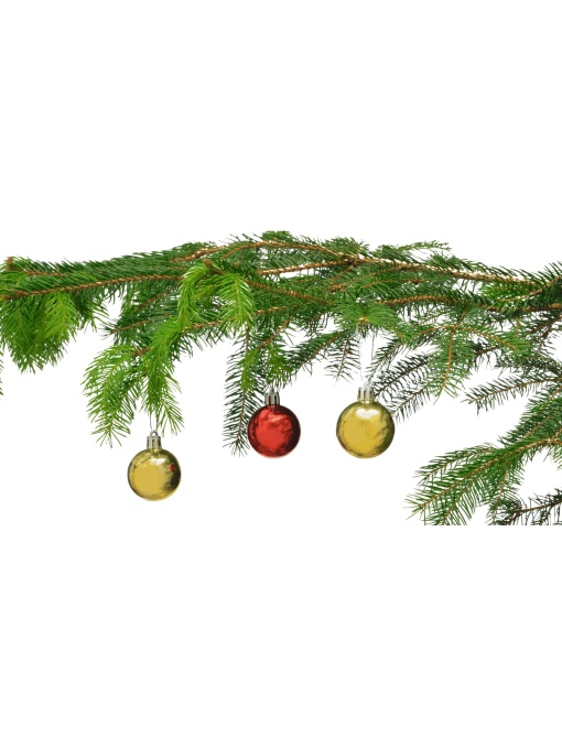 TOP™ Ornamente de Crăciun XMAS Line