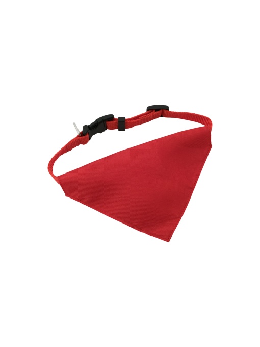 AP™ Zgarda