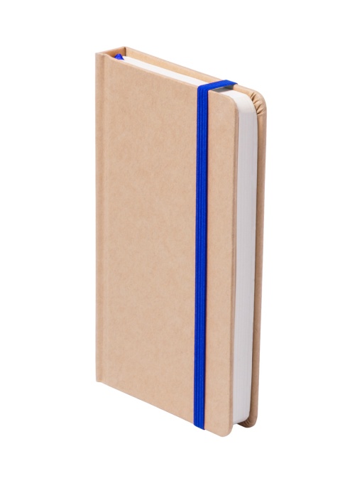 AP™ Notebook