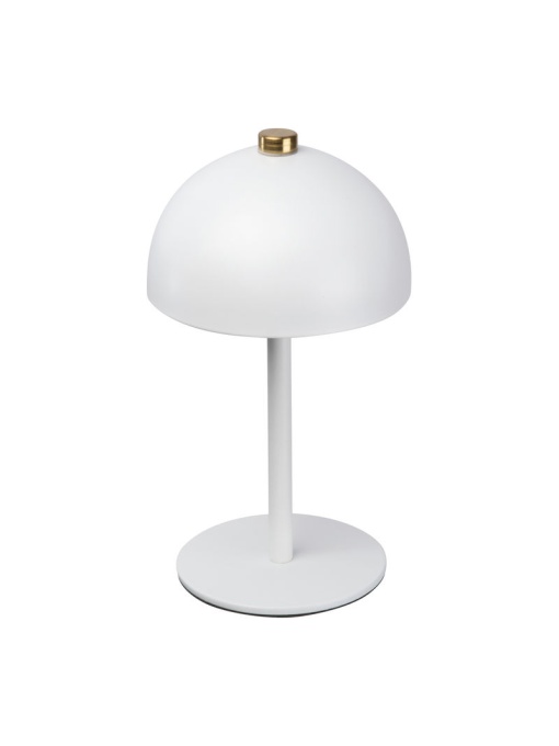 CM™ Stainless steel desk lamp
