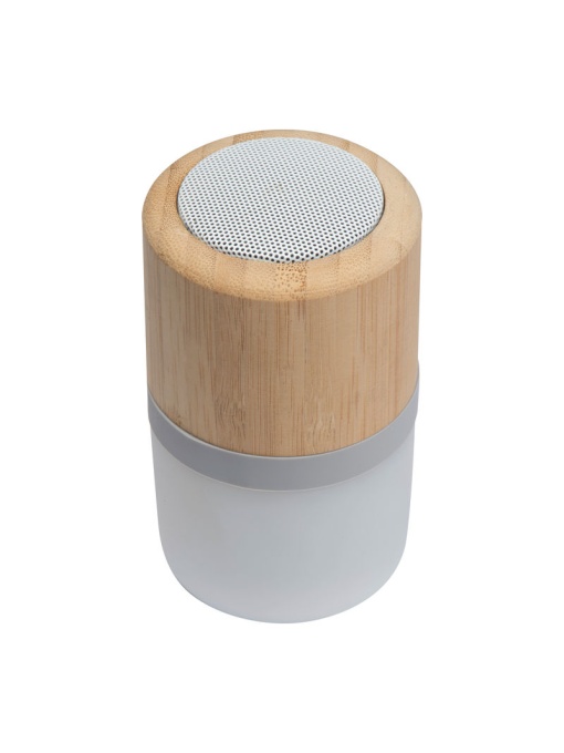 Easy™ Bluetooth speaker Haarlem