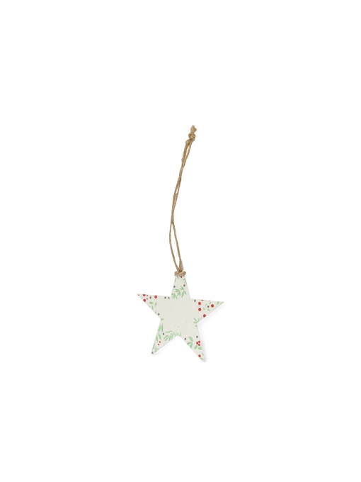 mak™ Seeds Christmas Decoration Boster