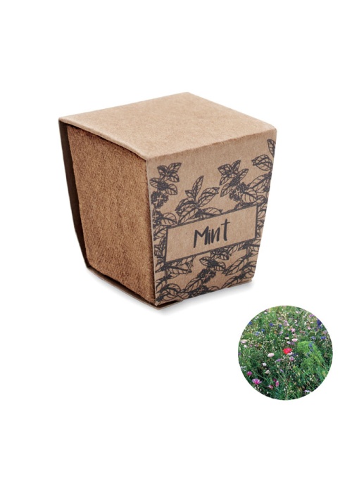 MO™ Mint kit – Mint seed growing kit