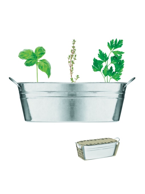 MO™ Mix seeds – Ghiveci din zinc cu semințe
