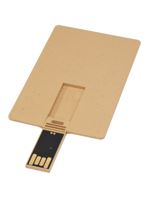 PF™ Card USB degradabil dreptunghiular