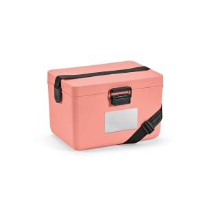 AO™ Bangkok 12L Cooler Recycled Plastic PP