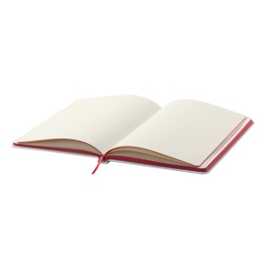AP™ Blocnotes