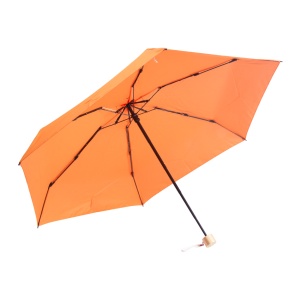 AP™ Umbrelă Mini, Rpet
