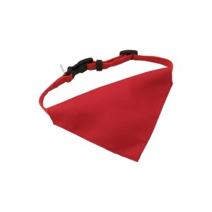 AP Rex - dog's collar - Img 2