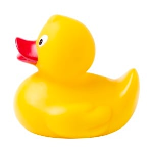AP Squack - rățușcă din cauciuc - Img 5
