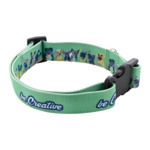 AP Ziggy - zgardă pentru câini, personalizată