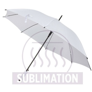AX™ Automatic umbrella | Dwight - Img 2