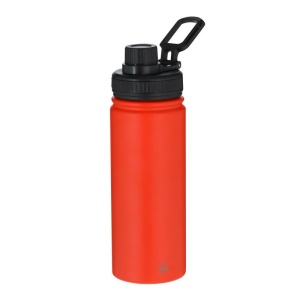 AX™ Sticlă termo 550 ml