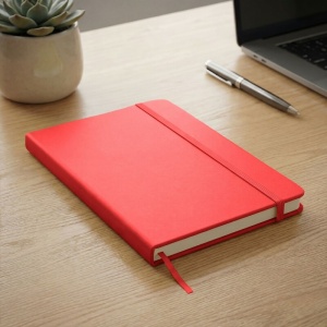 AX Notebook A5 | Emerentia