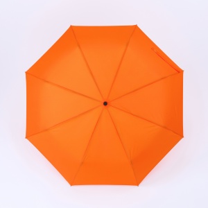 CO Cambridge umbrelă complet automată