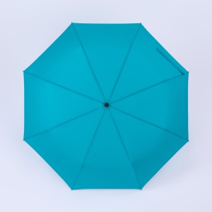 CO Cambridge umbrelă complet automată
