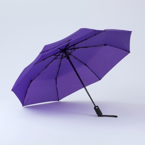 CO Primo Everyday Set: sticlă de apă 550 ml și umbrelă complet automată Harvard