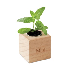 MO MENTA - Ghiveci lemn "MINT" - Img 2