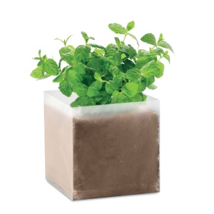 MO MINT - Compost cu semințe "MINT"