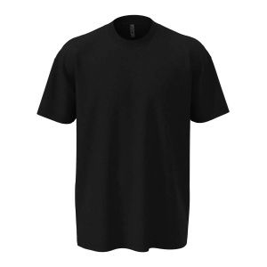 NL™ N6210 Unisex CVC T-shirt